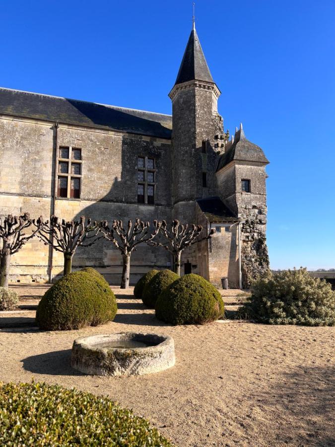 Maisons D'Hotes Du Chateau Au Grand Pressigny Le Grand-Pressigny المظهر الخارجي الصورة